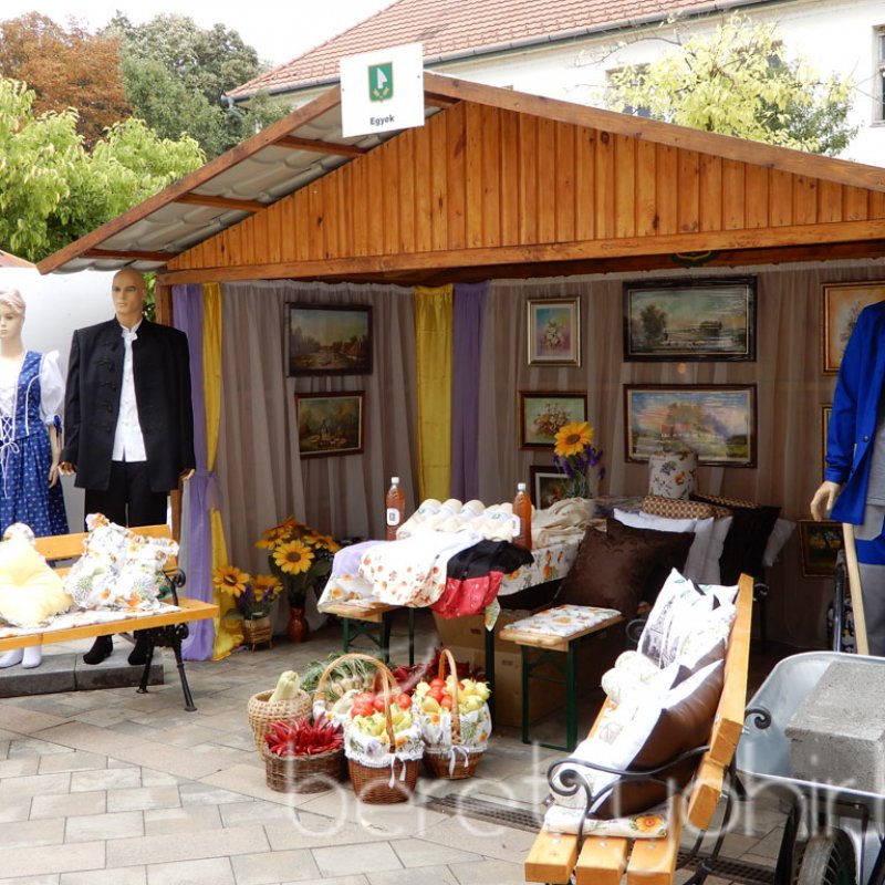 Helyi Értékek Startja 97